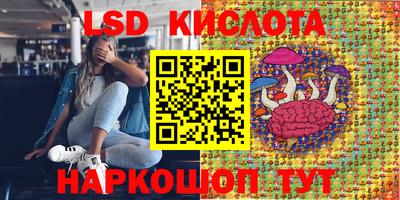 стаф Котовск