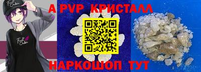 стаф Котовск