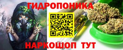 дмт Кохма