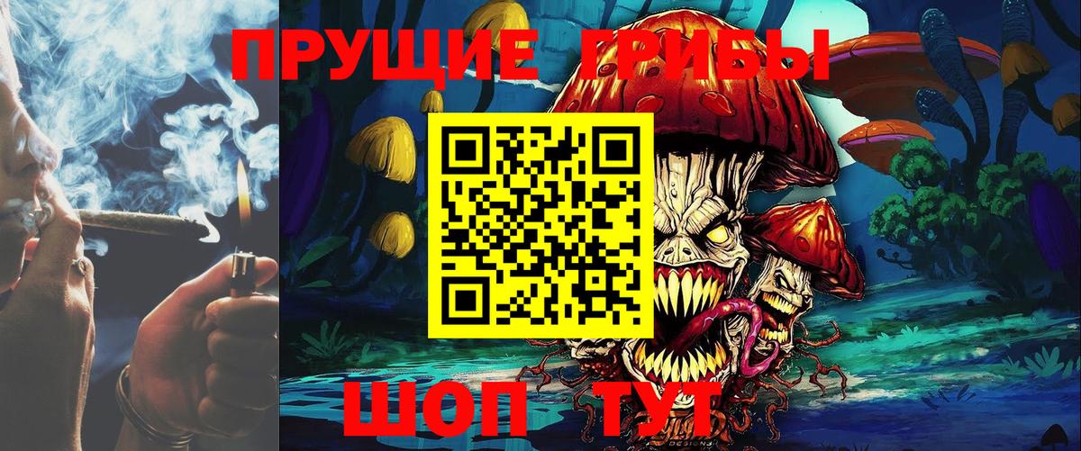Галлюциногенные грибы прущие грибы Долгопрудный