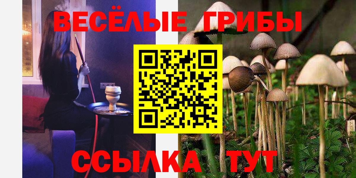 где купить наркотик  Галлюциногенные грибы прущие грибы  Вход с VPN  Долгопрудный 